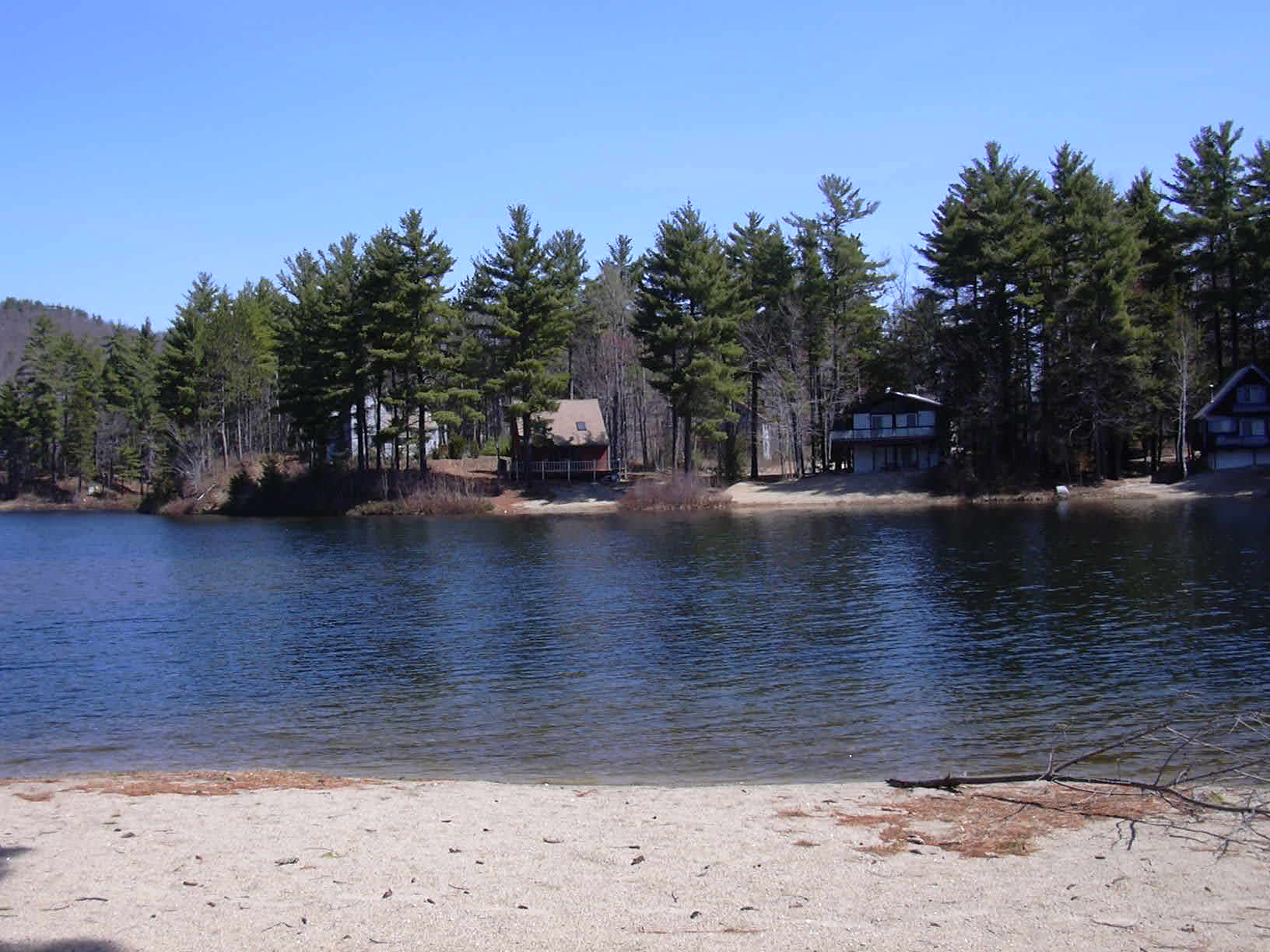 springpond.jpg